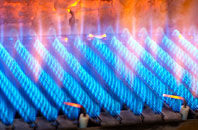Sudbrook gas fired boilers
